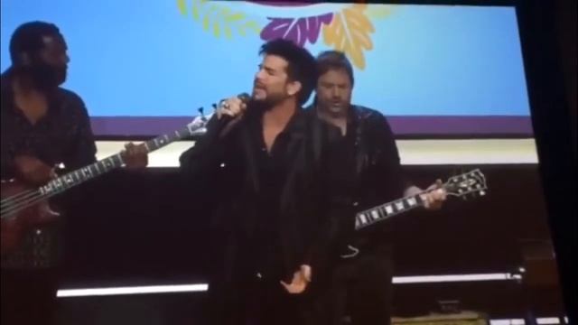What's Up Adam Lambert Point Foundation Gala 10 7 Point Honors edit смотреть онлайн