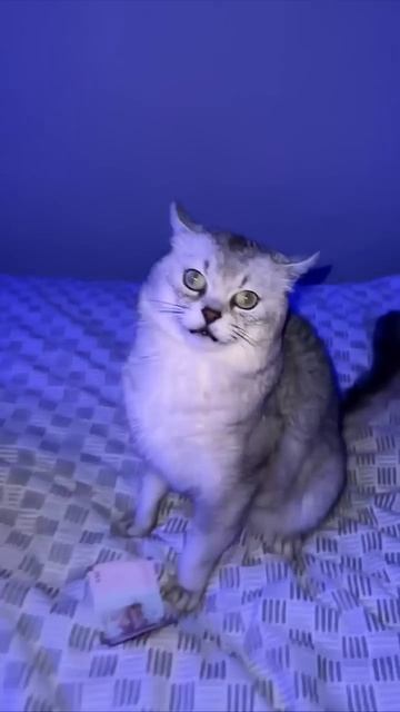 Что ты выберешь? смотреть онлайн