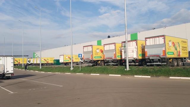 17 октября 2019 года. Утконос. смотреть онлайн