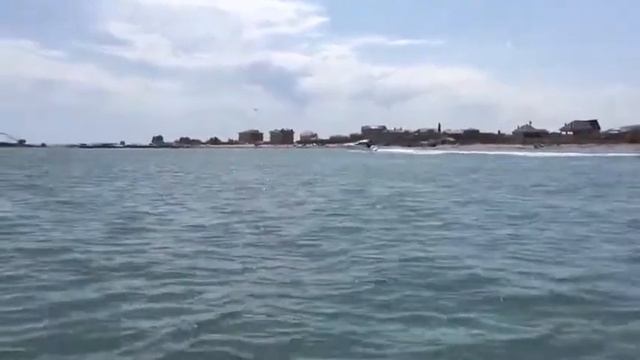 Активная прогулка смотреть онлайн
