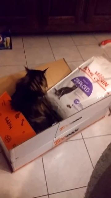 Royal canin croquettes steriliser ZOOMALIA смотреть онлайн