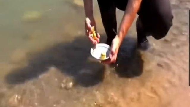 Emas dan berlian di sungai eufrat смотреть онлайн