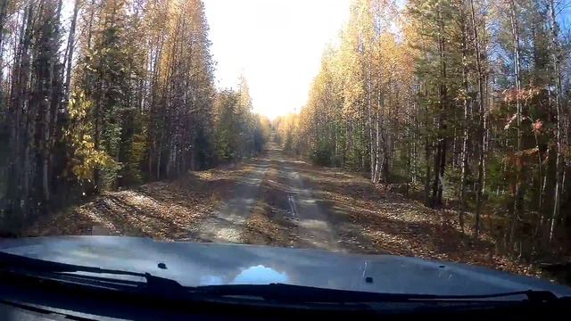 Глухари на дороге.... смотреть онлайн