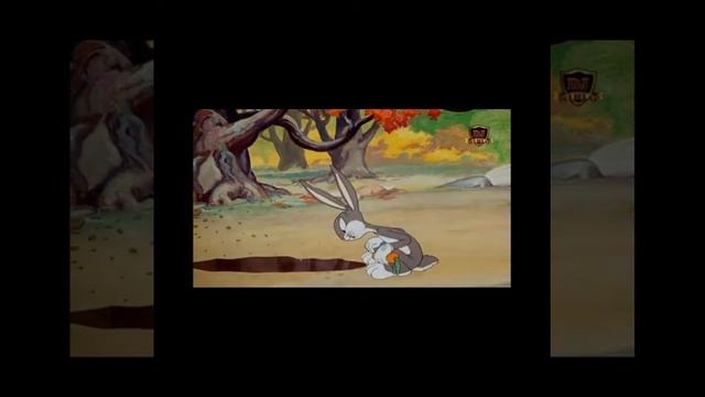 Нохчи мультфильм