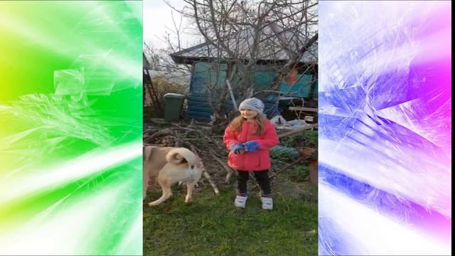 Мой питомец Честер мастер послушания Борисова София 7 лет г о Клин смотреть онлайн