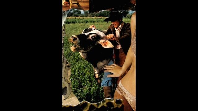 (A)Sex - Forced [Full CS] смотреть онлайн
