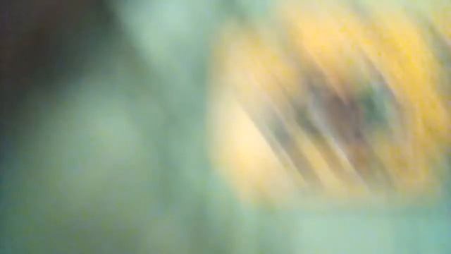 Карточки черепашек нинзя 🐱 смотреть онлайн