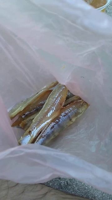 Купили чищенного судака в Седово и смакуем на пляже Азовского моря ! смотреть онлайн