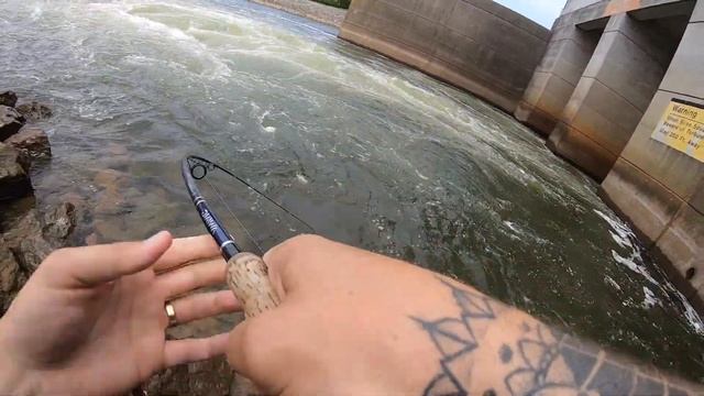 Hybrid Bass Bite at Percy Priest Dam смотреть онлайн