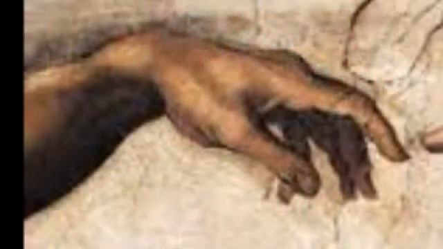 ti voglio bene, Vorrei ascoltarti più spesso........perchè non lo fai? смотреть онлайн