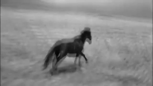 Байыт Қабанұлы БЕУ ҚАРА ДОМБЫРАМ смотреть онлайн