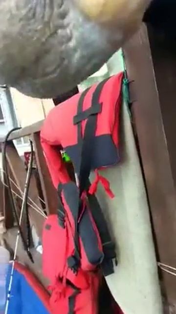 Чудо юдо смотреть онлайн