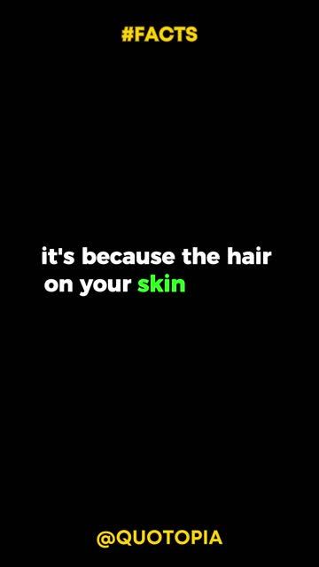 Why you get goose bumps when you're cold or scared #shorts #viralshorts #trendingshorts смотреть онлайн