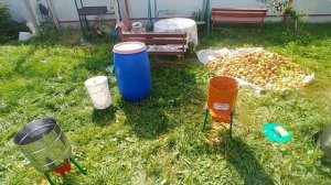 Как правильно сделать Сидр и Кальвадос!! Технологии Французских мастеров!!!