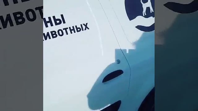 ПОХОРОНЫ ЖИВОТНЫХ ЗОО" ХАРОН" КРАСНОДАР смотреть онлайн