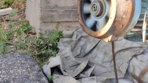 изучаем Тельфер Болгарский