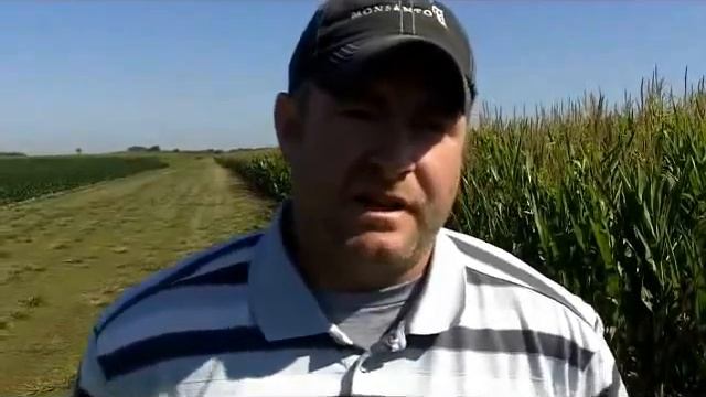Plan Next Year's Corn Rootworm Control Strategy Now смотреть онлайн