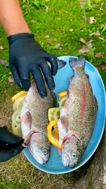 Fish Outdoor Cooking @Salsa_Bilqis #fishcooking #outdoorcooking #cookingvideos #shortcooking смотреть онлайн