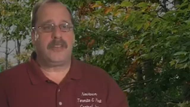 Mice Infestation: How To Tell If You Have Mice Newtown PA смотреть онлайн