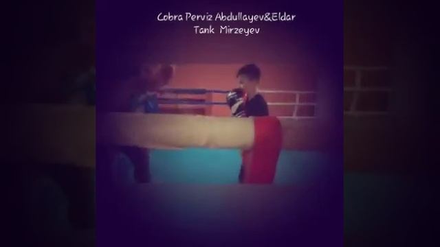 COBRA PARVIZ & TANK ELDAR смотреть онлайн