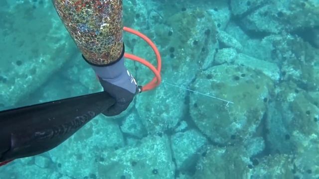 Spearfishing Autumn 2017 with Pathos Sniper 95 смотреть онлайн