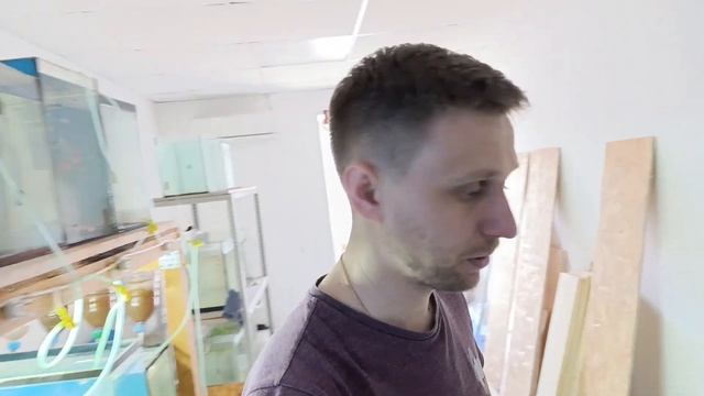 Собрал стеллаж под 24 аквариума для рыбок Петушок. Часть 2 смотреть онлайн
