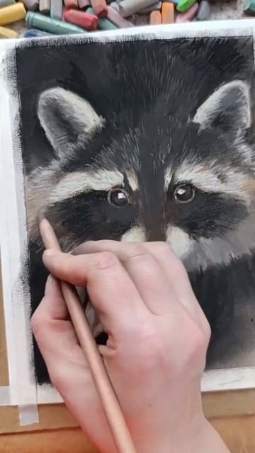Как нарисовать енота?#челлендж #30daychallenge #рисунок #пастель #енот #рисуюкаждыйдень #крошкаенот смотреть онлайн