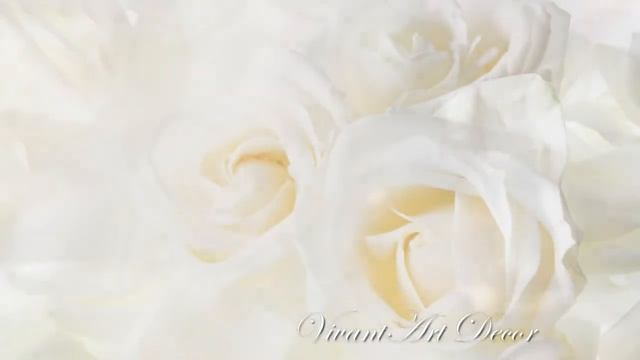 Шкатулка Подарок райского сада смотреть онлайн