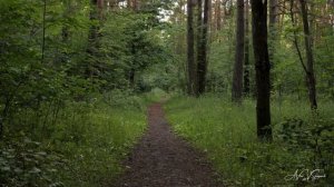 Жила-была-принцесса-Авторская-песня