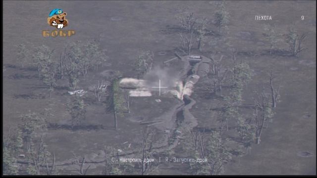 работают бобры смотреть онлайн