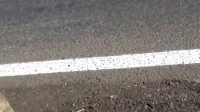 Блок пост розовка 2019 смотреть онлайн