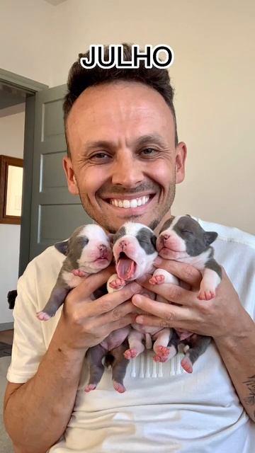 Os Melhores Momentos da Maori em 2022 #americanbully смотреть онлайн