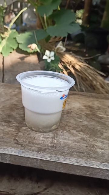 🐘🦷😁 elephant toothpaste ⛲simple science experiment to do at home 🤩#trending #shorts #yt #vlog #vira смотреть онлайн