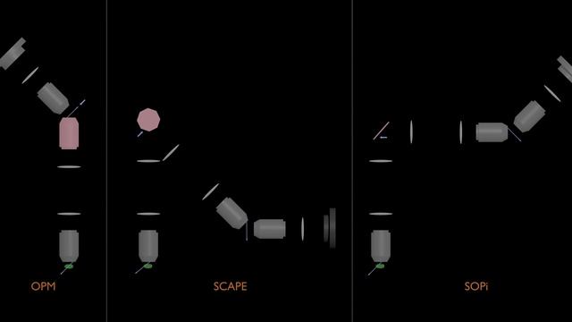 Scanning architecture : OPM vs SCAPE vs SOPi смотреть онлайн