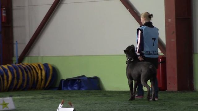 Ильина Ольга и Гард ралли обиденс ро 2 2 трасса 21.04.19 смотреть онлайн
