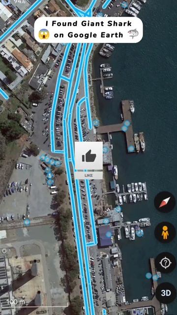 💫I Found Giant Shark at N Francis Ave 🌏mnd #googlemaps #googleearth #streetview #googlestreetview смотреть онлайн
