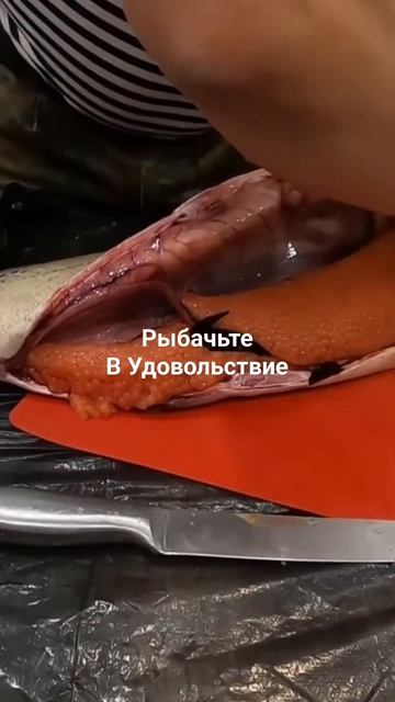 Красная икра. смотреть онлайн