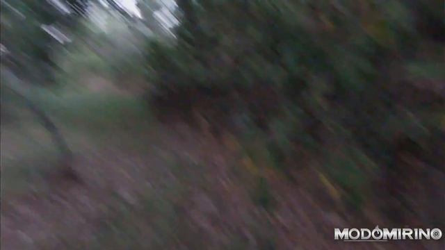 Preapertura 2 settembre 2020 смотреть онлайн