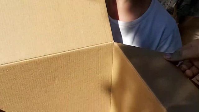 Новичок! Голубь из Брянска 08 07 21 г смотреть онлайн