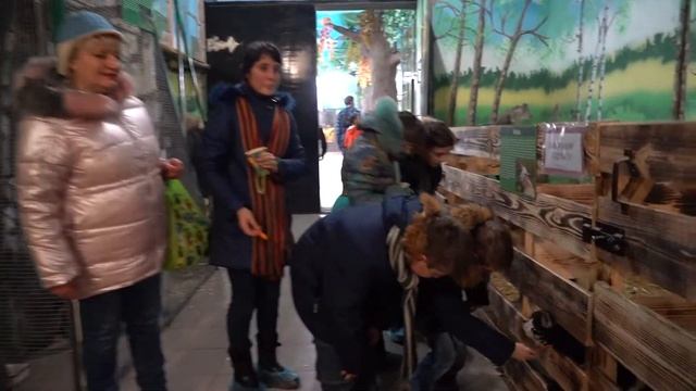 Діти, які потребують соціальної уваги, відвідали зоопарк у Білицькому смотреть онлайн