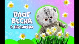 ВЛОГ С БАСИКОМ / Басики весной / ГУЛЯЕМ С БАСИКОМ / Басик объелся пиццы