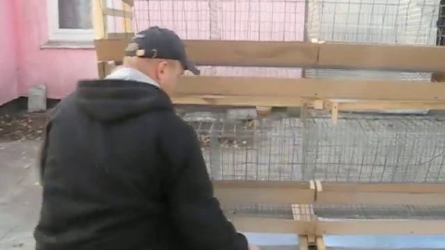 Инкубатор своя ферма смотреть онлайн