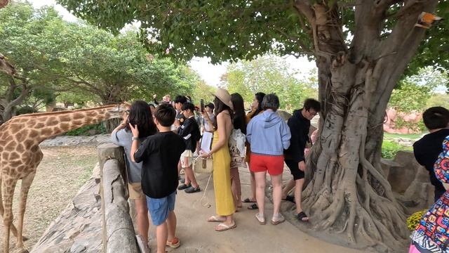 зоопарк Вьетнам