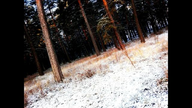 Edwin Ruys - I Guess