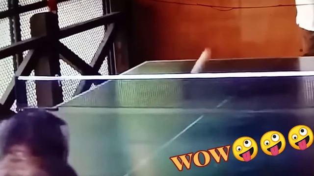 Amazing Monkey Can Play Ping Pong Funtastic смотреть онлайн
