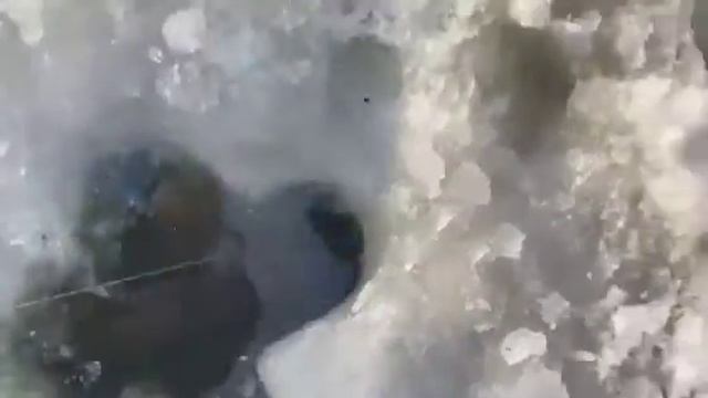 Ой ёёёё крокодил...! смотреть онлайн