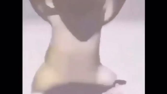 просто ящерица танцует свой танец смотреть онлайн