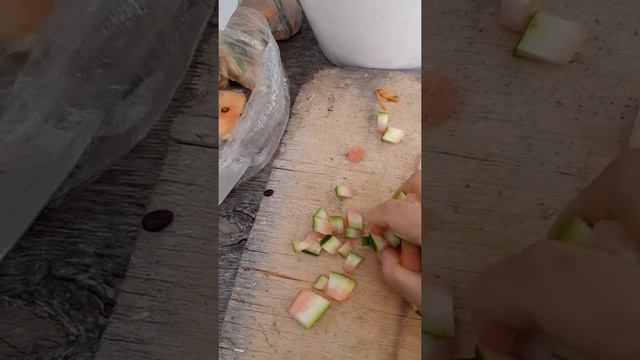Кормление Стравусов смотреть онлайн
