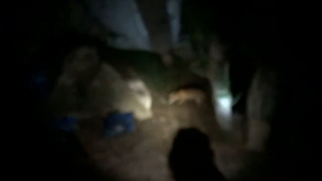 Лисица в крымских скалах Каралара смотреть онлайн