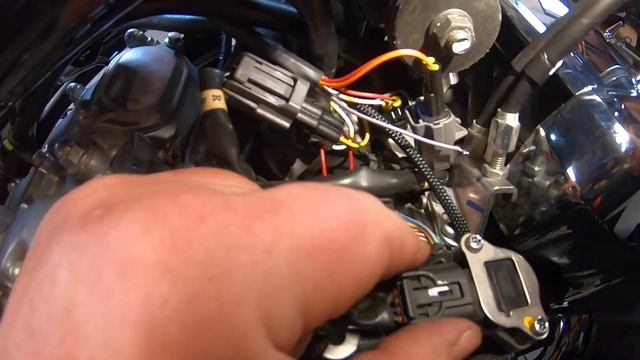 DynoJet PowerCommander 5/6 Install HONDA FURY 2024